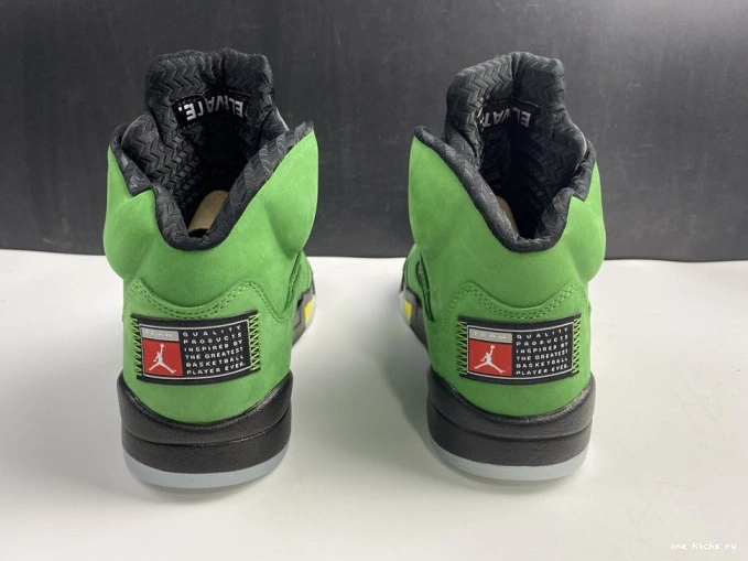 Chep Onekick Jordan Air Ducks Oregon SE 5 CK6631-307 0731